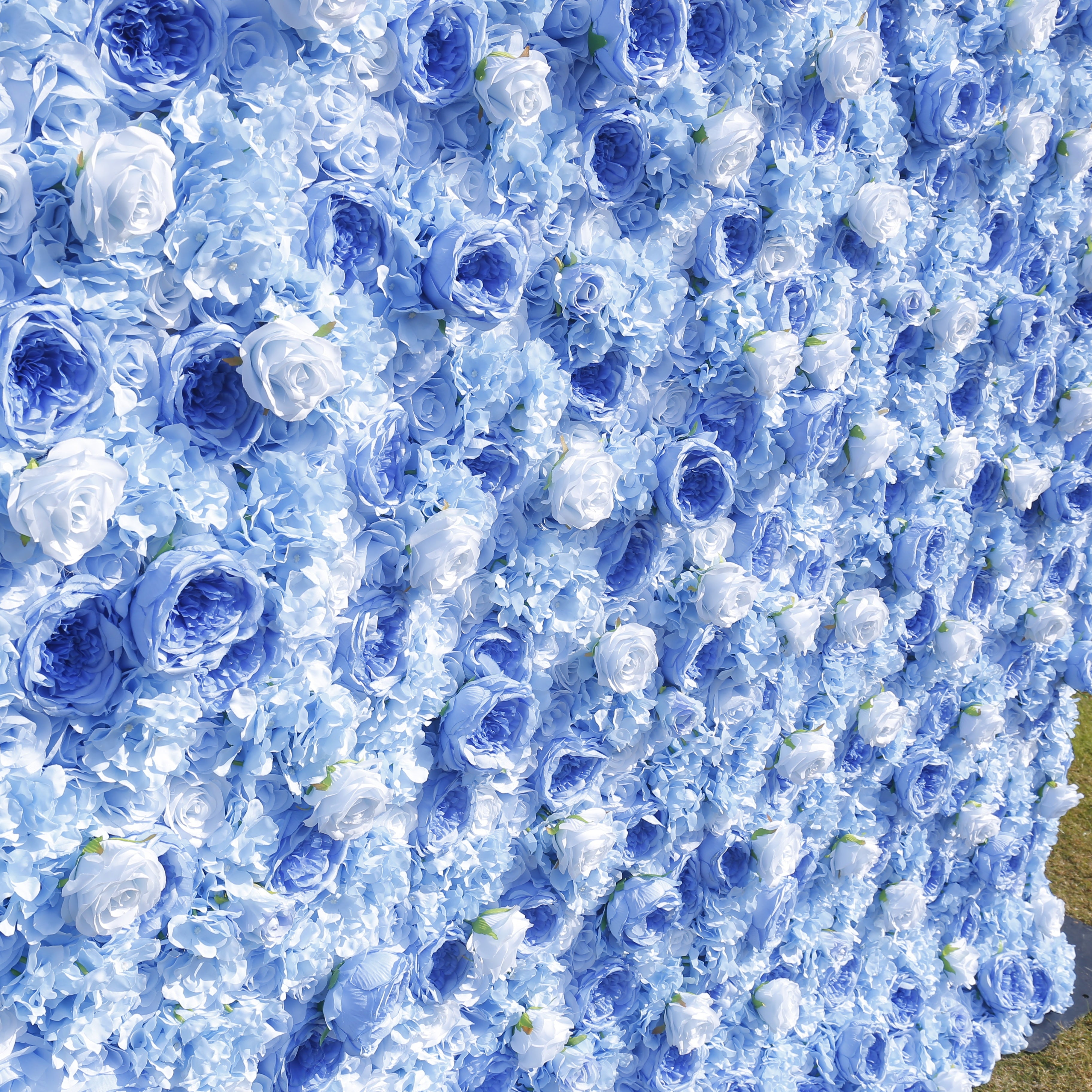 5D Light Blue Roses Rolling Up Artificial Flower Wall Backdrop ACFW-137