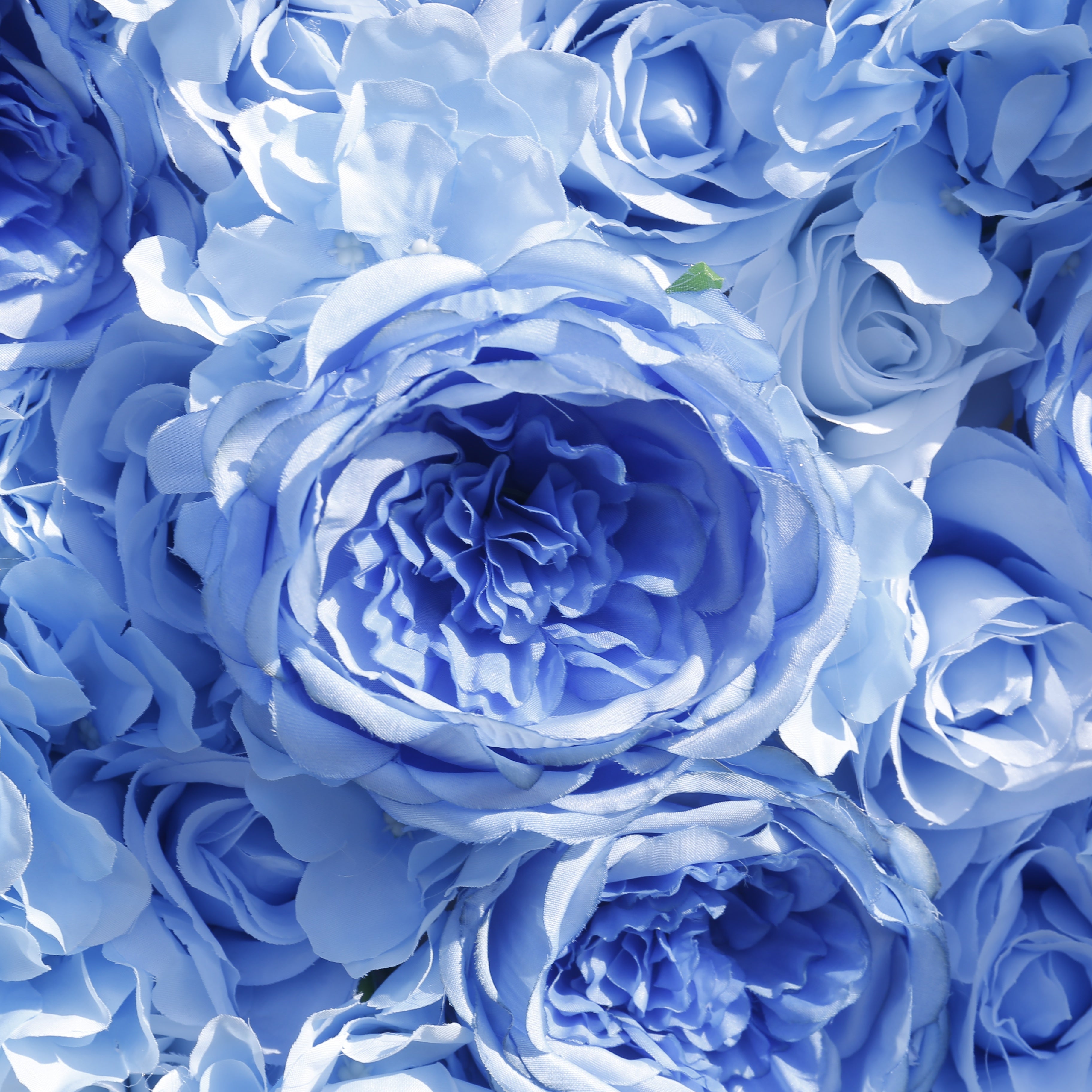 5D Light Blue Roses Rolling Up Artificial Flower Wall Backdrop ACFW-137