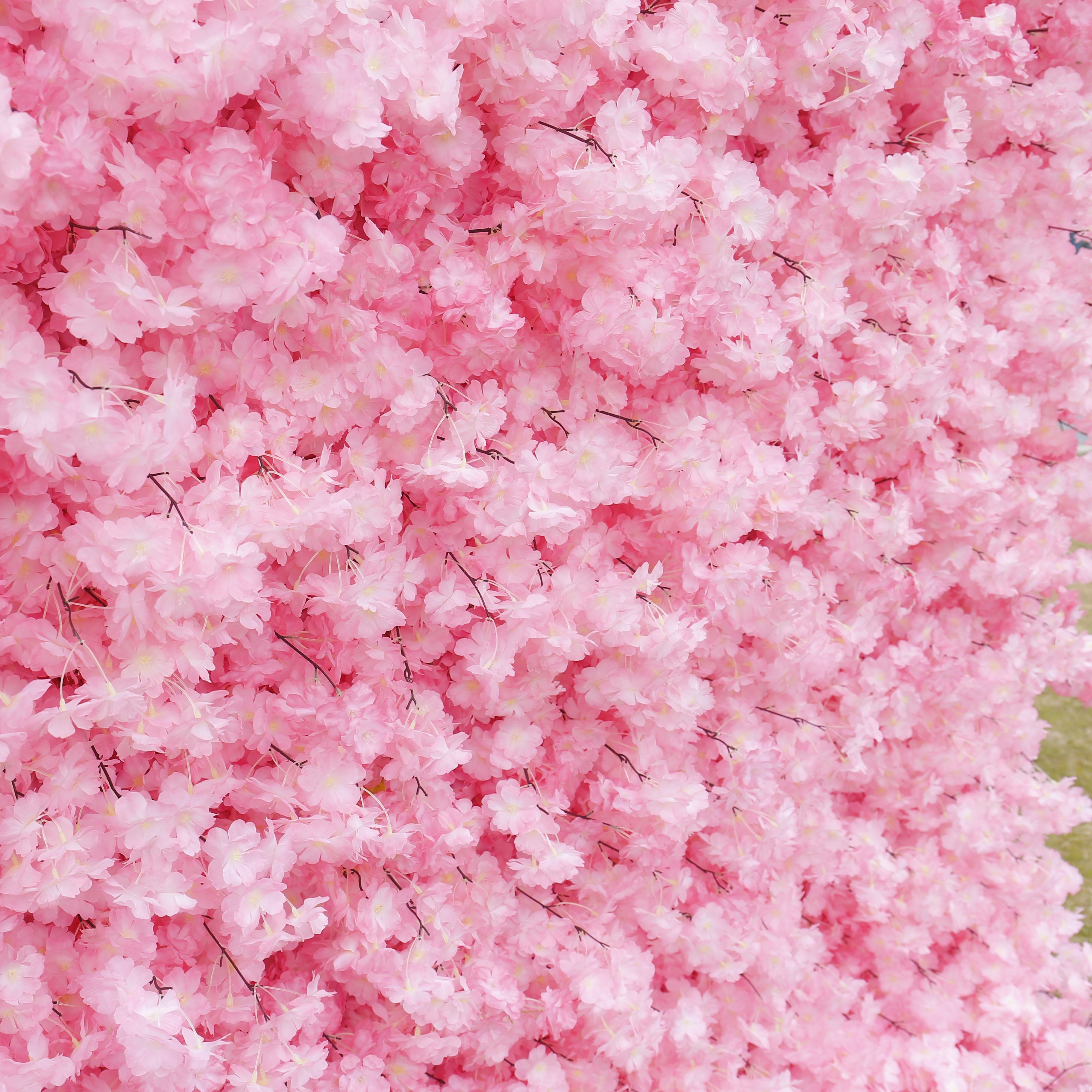 Pink & White Cherry Blossom Fabric Wall Rolling Up Flower Backdrop ACFW-142