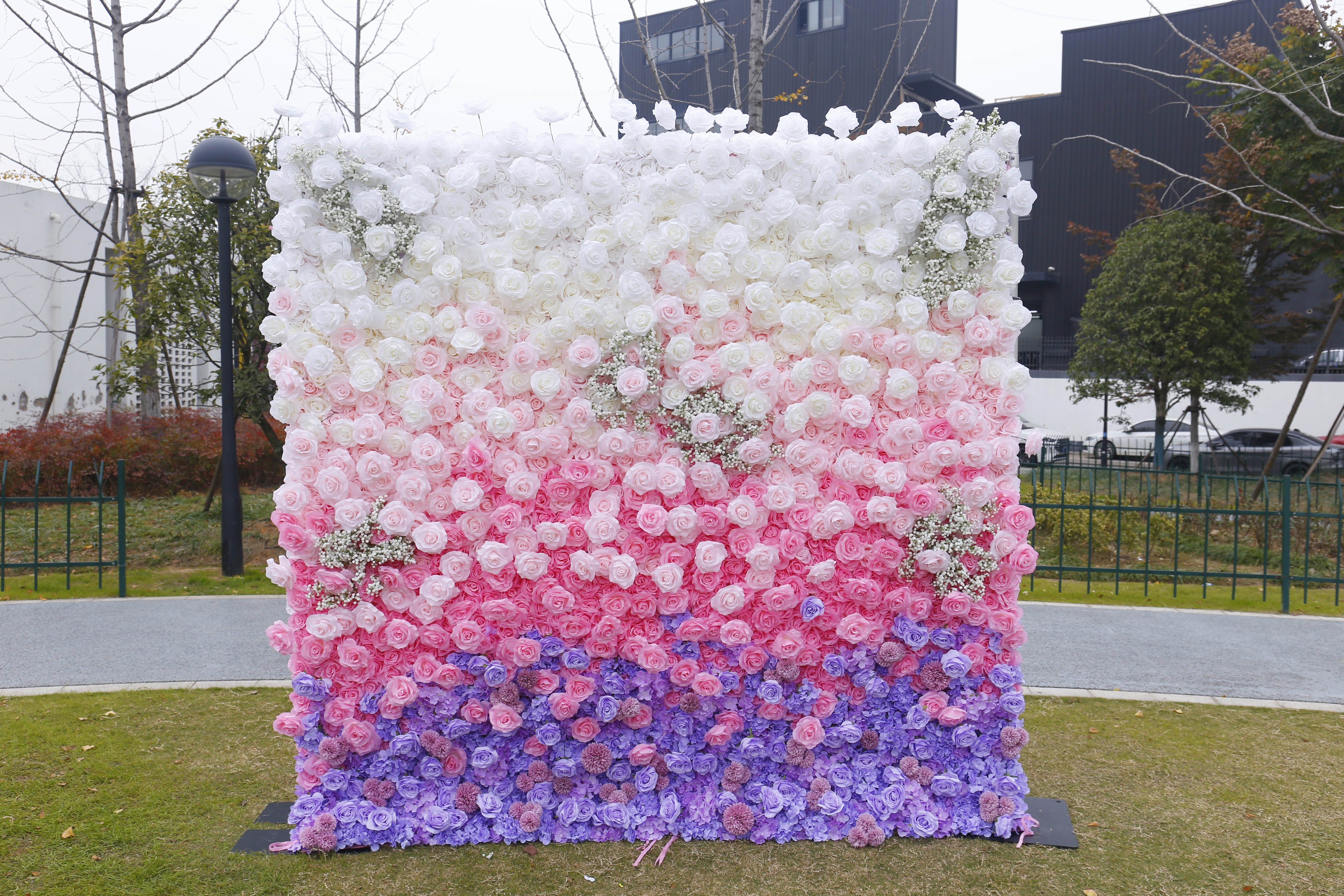 5D Ombre Purple Pink White Fabric Rose Artificial Flower Wall ACFW-157