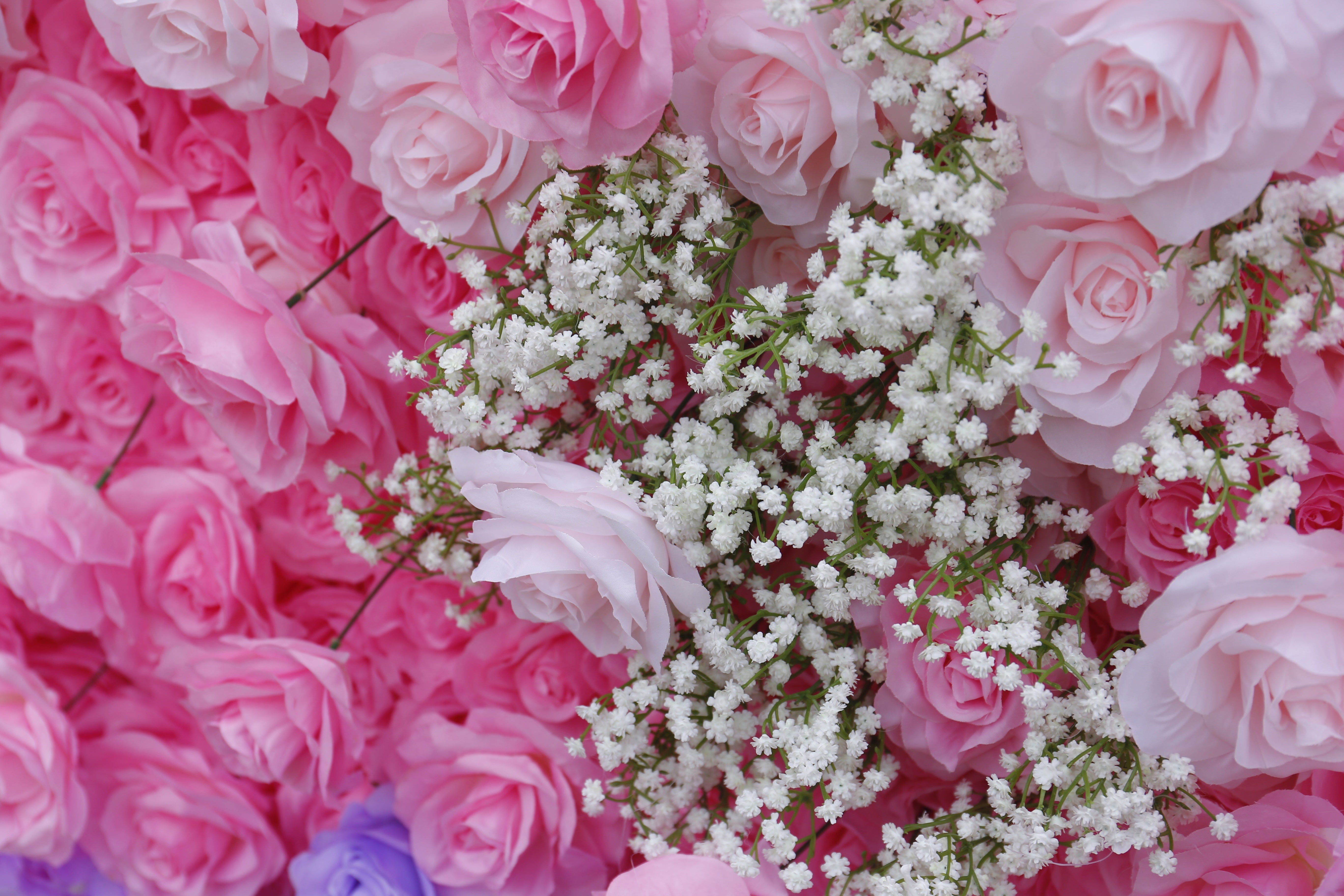 5D Ombre Purple Pink White Fabric Rose Artificial Flower Wall ACFW-157