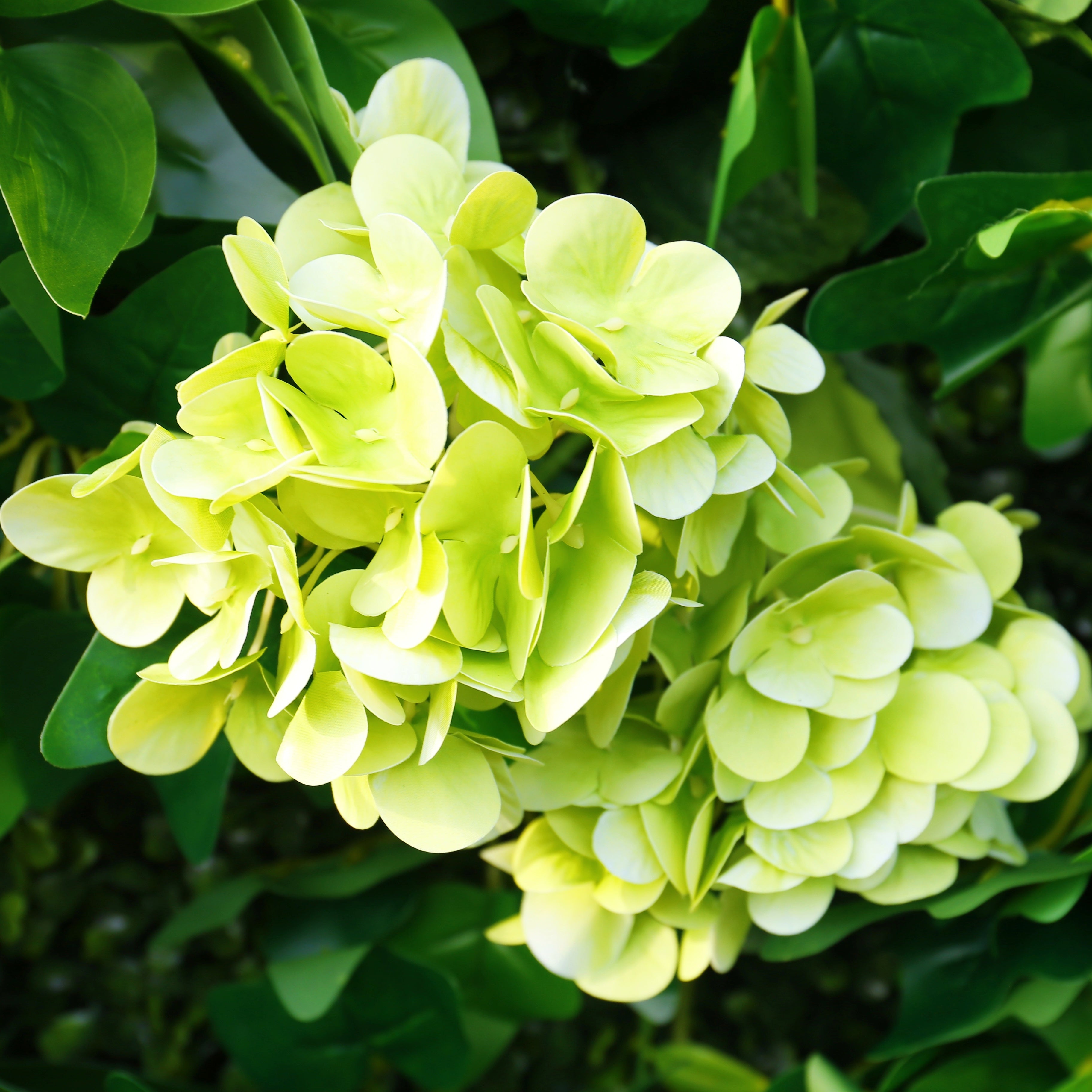 8ft Greenery Fabric Artificial Forest Roll Up Flower Wall ACFW-163