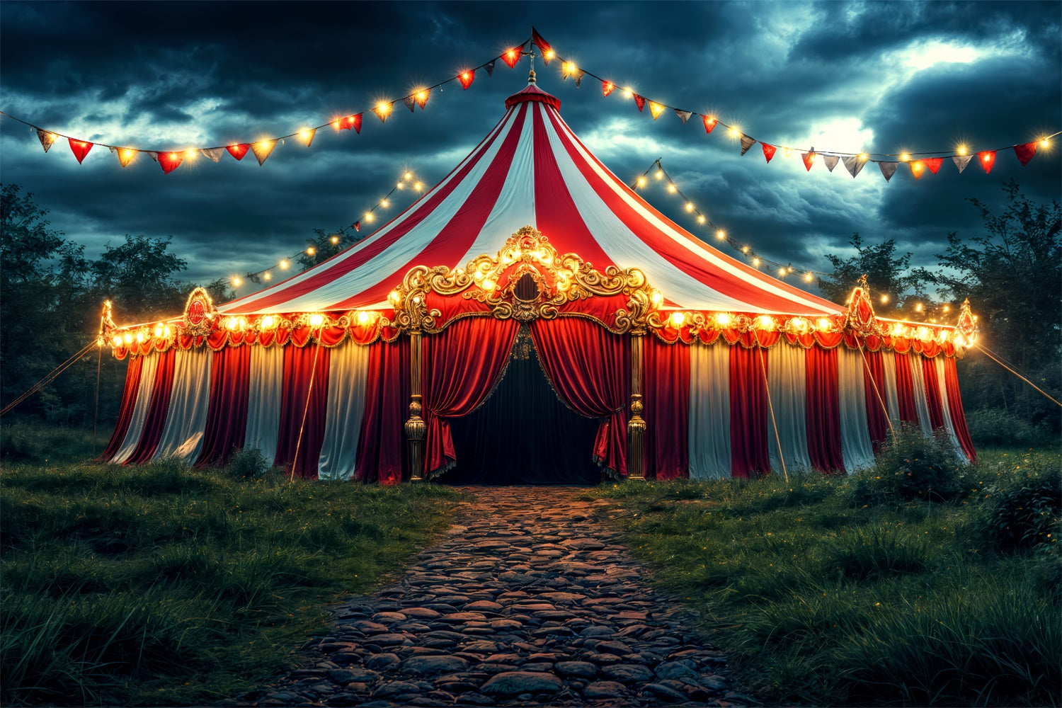 circus tarp Circus Themed Photo Backdrop Carnival Tent Night Backdrop BRP1-181