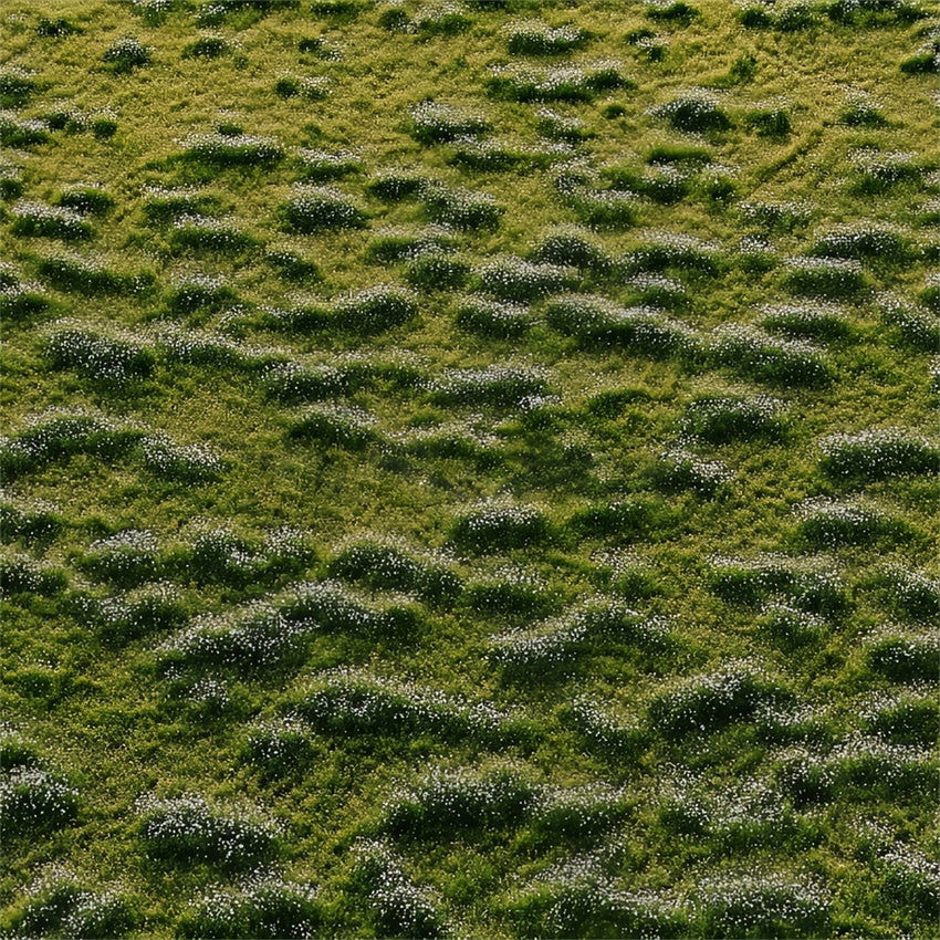 Photography Floor Backdrops Meadow Spotted White Blooms Backdrop BRP1-43