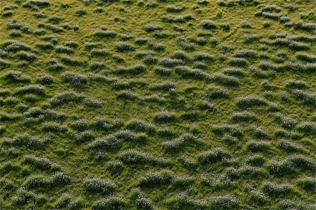 Photography Floor Backdrops Meadow Spotted White Blooms Backdrop BRP1-43