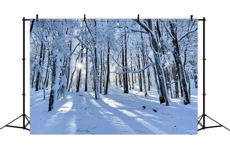 Winter Backdrops For Sale Snowy Woods Gentle Light Backdrop BRP11-13