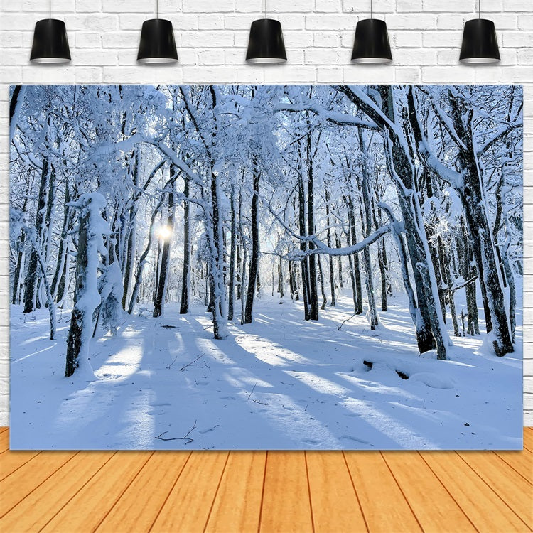Winter Backdrops For Sale Snowy Woods Gentle Light Backdrop BRP11-13