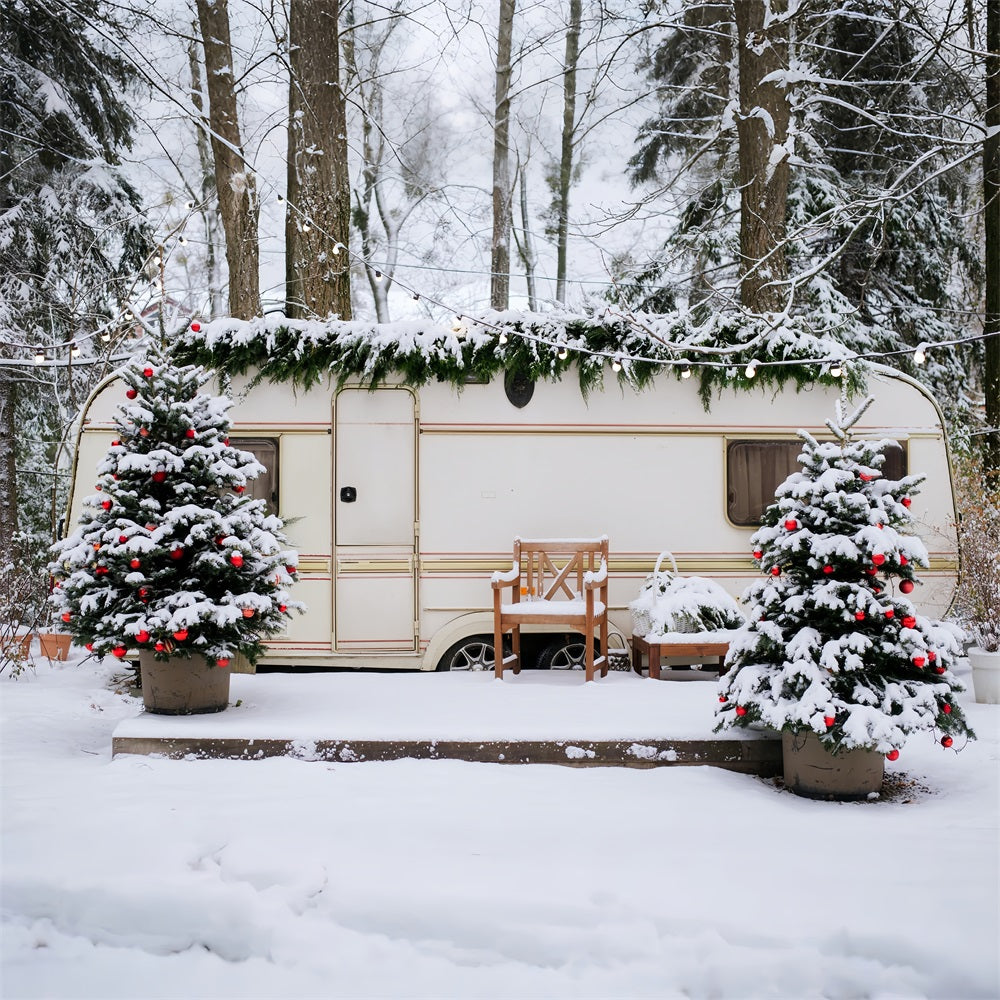 Winter Backdrop Ideas Snowy Christmas Camper Forest Backdrop BRP11-495