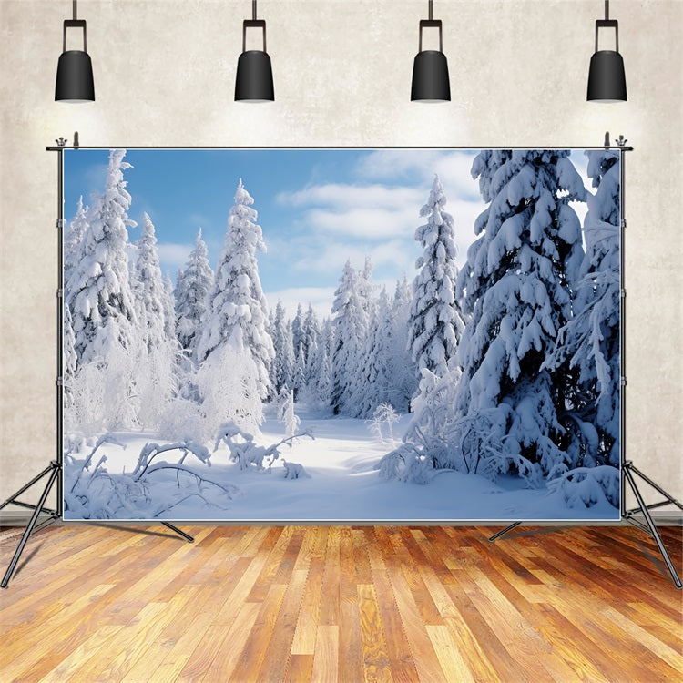 Winter Scene Backdrop Frosted Pines Blue Sky Backdrop BRP11-7