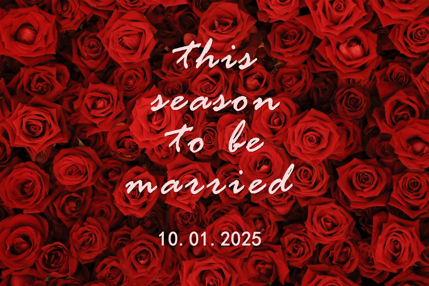 Custom Wedding Backdrop Passionate Red Rose Wall Backdrop BRP12-347