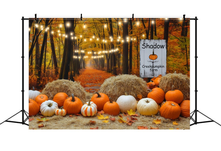 Fall Photo Backdrop Lantern Pumpkin Forest Backdrop BRP57-178