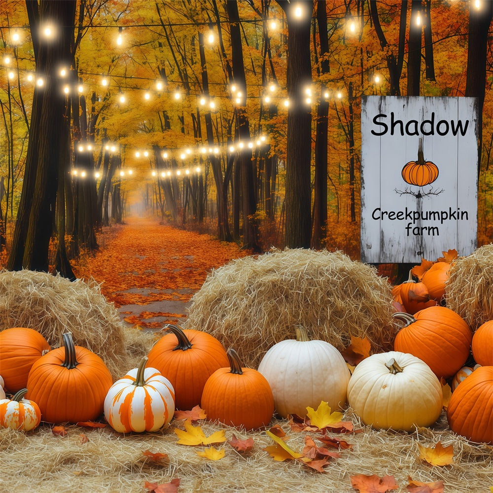 Fall Photo Backdrop Lantern Pumpkin Forest Backdrop BRP57-178