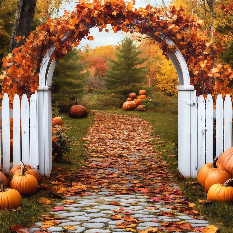 Fall Leaves Backdrop Pumpkin Arch Pathway Backdrop BRP57-202