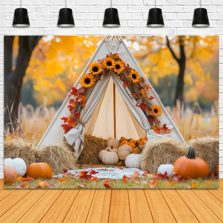 Newborn Photography Backdrops Maple Glow Tent Backdrop BRP57-268