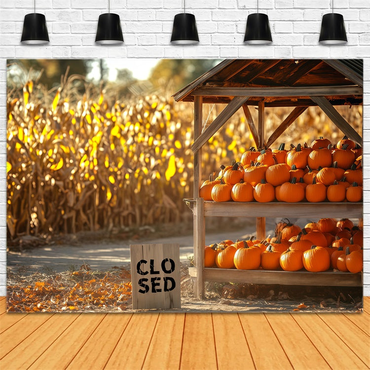 Backdrop For Thanksgiving Cornfield Pumpkin Booth Backdrop BRP57-329