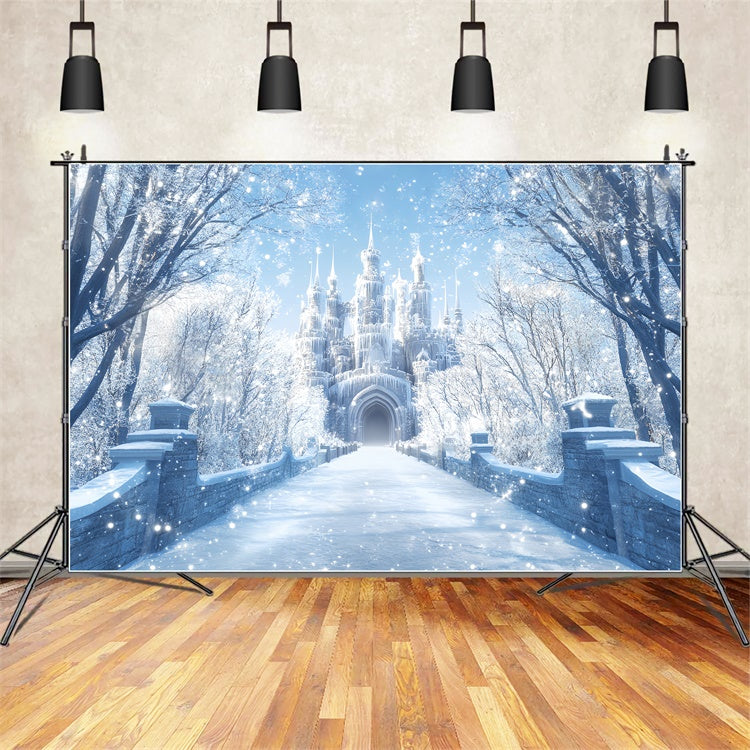 Winter Backdrop Morning Light Winter Castle Backdrop BRP57-365
