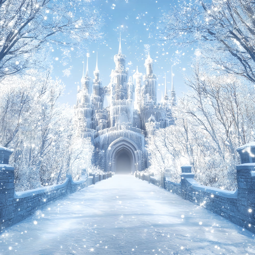 Winter Backdrop Morning Light Winter Castle Backdrop BRP57-365