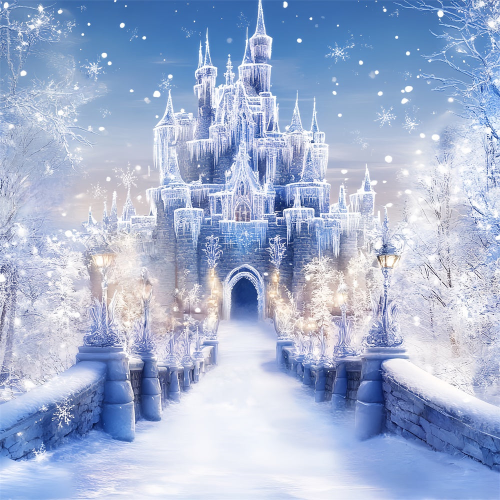 Winter Castle Backdrop Frost Castle Entrance Backdrop BRP57-366