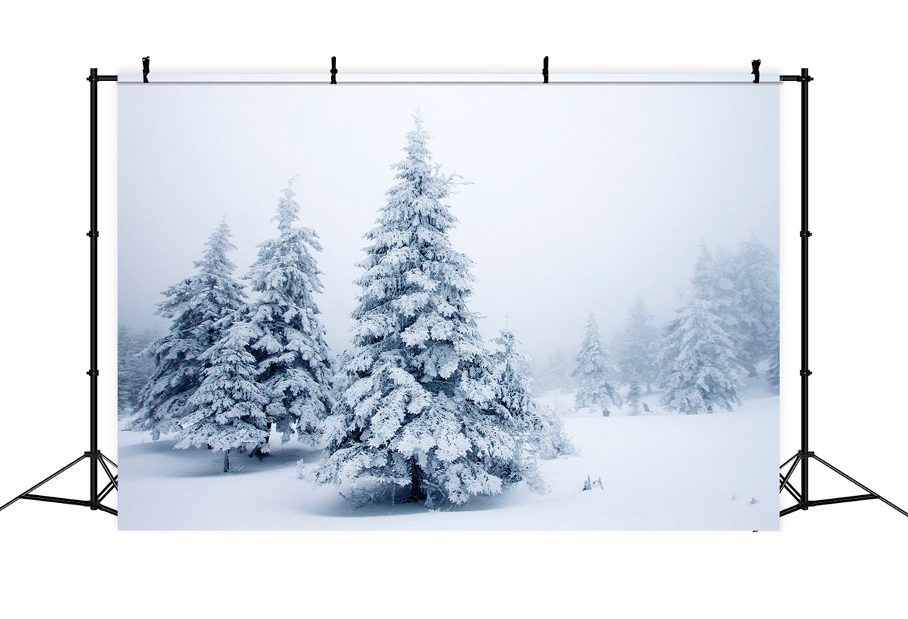 Winter Pines Quiet Snowy Landscape Backdrop BRP9-219
