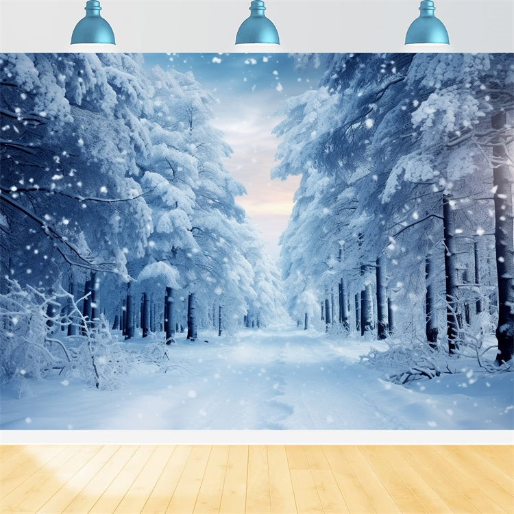Winter Walk Through Snowy Forest Path Backdrop BRP9-221