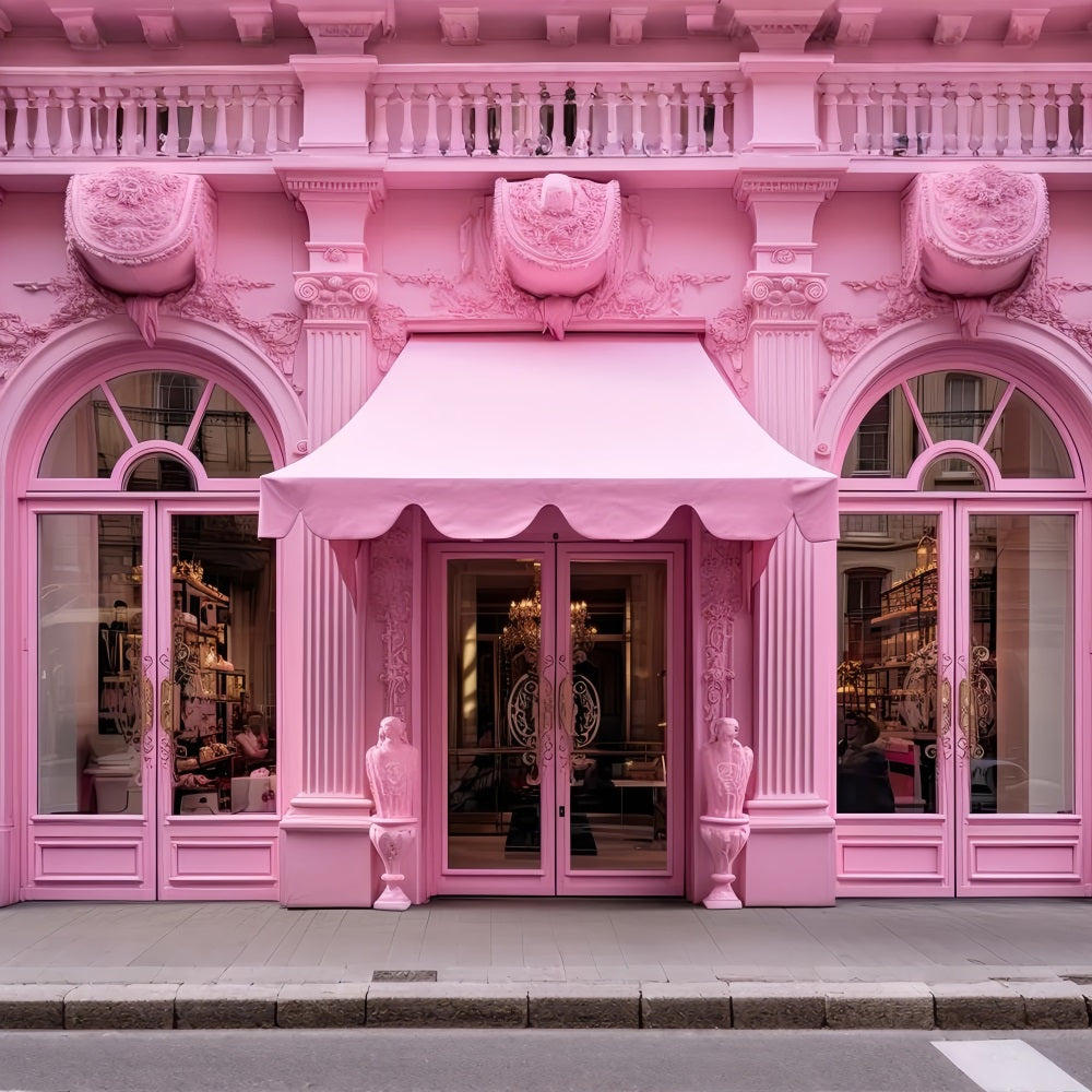 Pink Girl Backdrop Design French-Inspired Pink Boutique Backdrop CJJ2-104