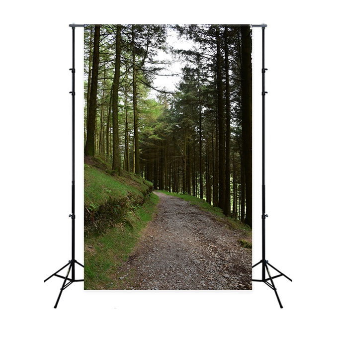 Woodland Photo Backdrop Rustic Woodland Gravel Path Backdrop CJJ2-118