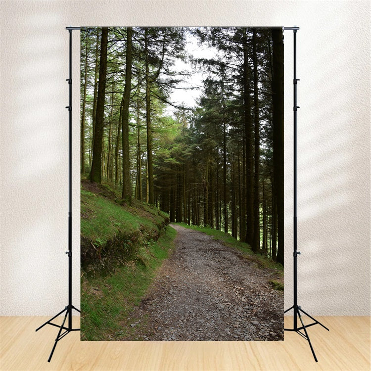 Woodland Photo Backdrop Rustic Woodland Gravel Path Backdrop CJJ2-118