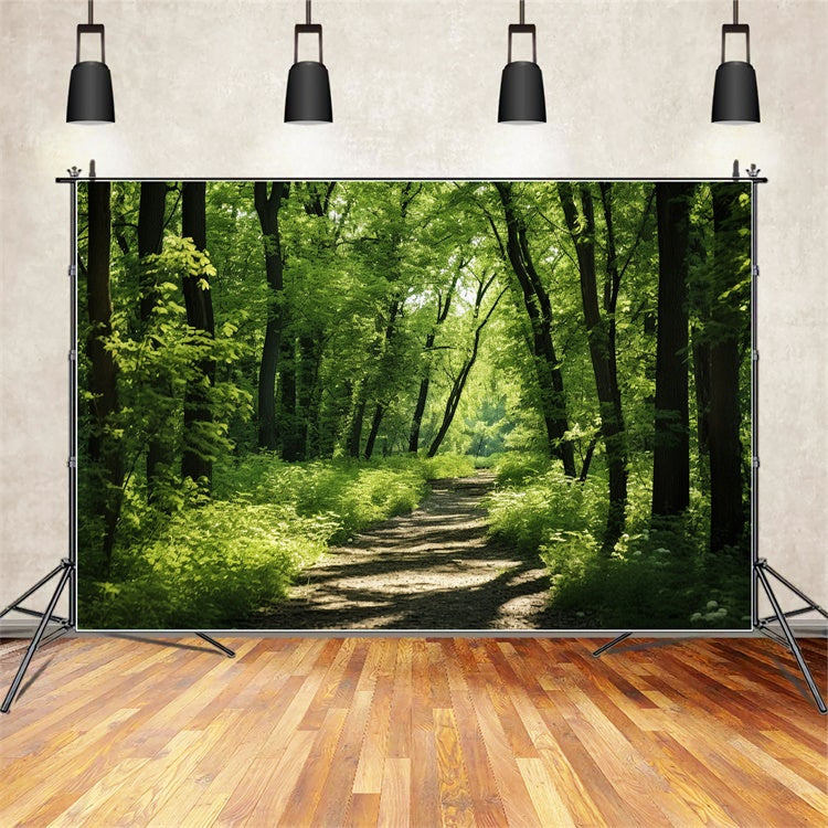 Woodland Photo Backdrop Lush Woodland Sunlit Trail Backdrop CJJ2-121