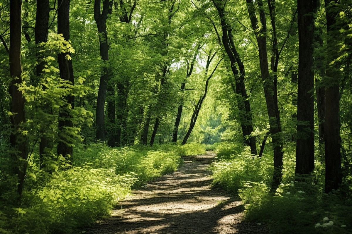Woodland Photo Backdrop Lush Woodland Sunlit Trail Backdrop CJJ2-121