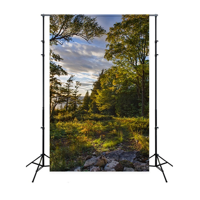 Wilderness Backdrop Rustic Sunset Trees Sky Backdrop CJJ2-127
