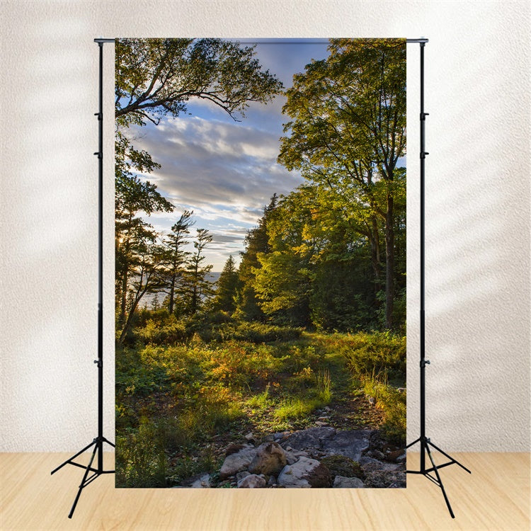 Wilderness Backdrop Rustic Sunset Trees Sky Backdrop CJJ2-127