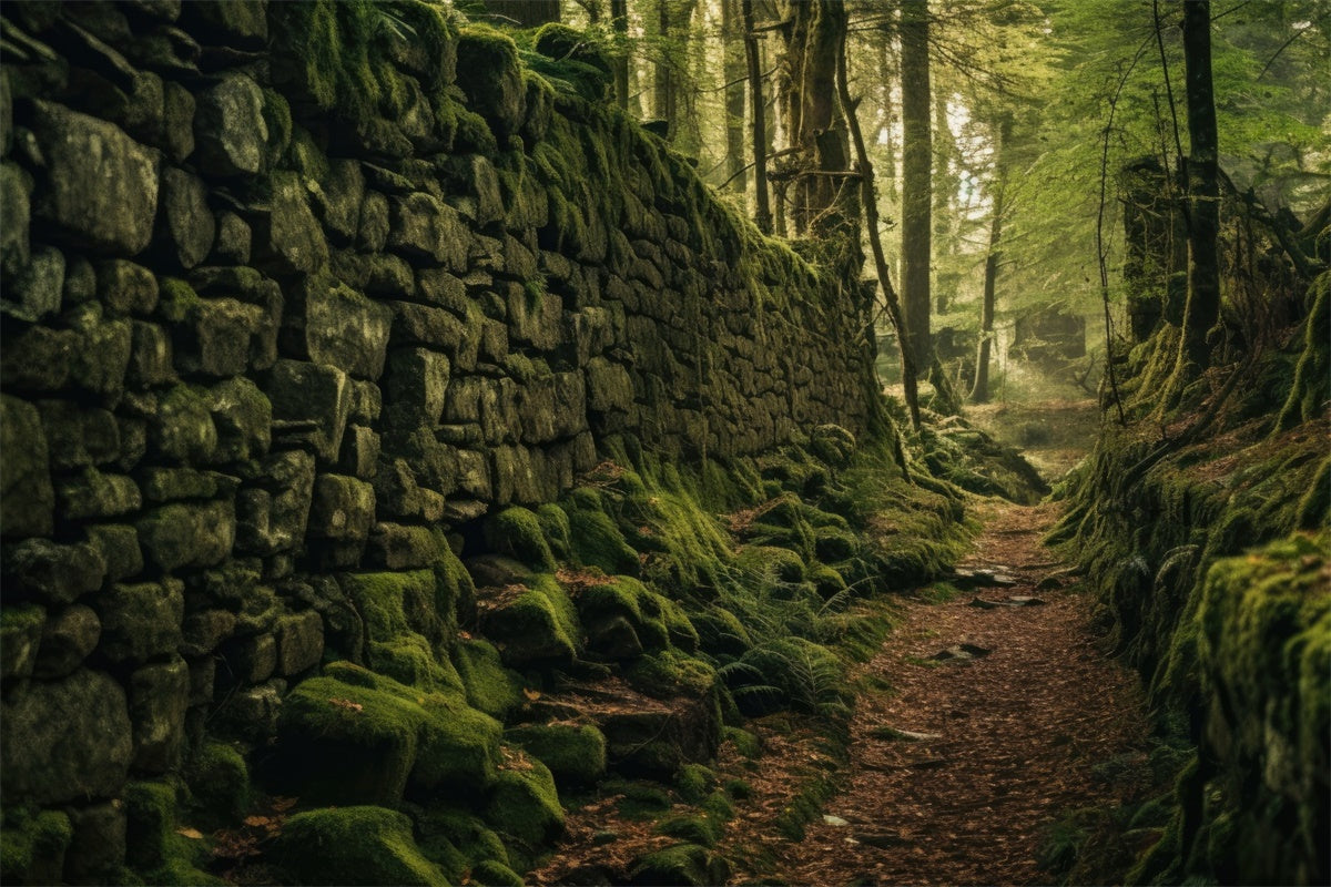 Forest Backdrop Photography Mossy Stone Wall Pathway Backdrop CJJ2-128