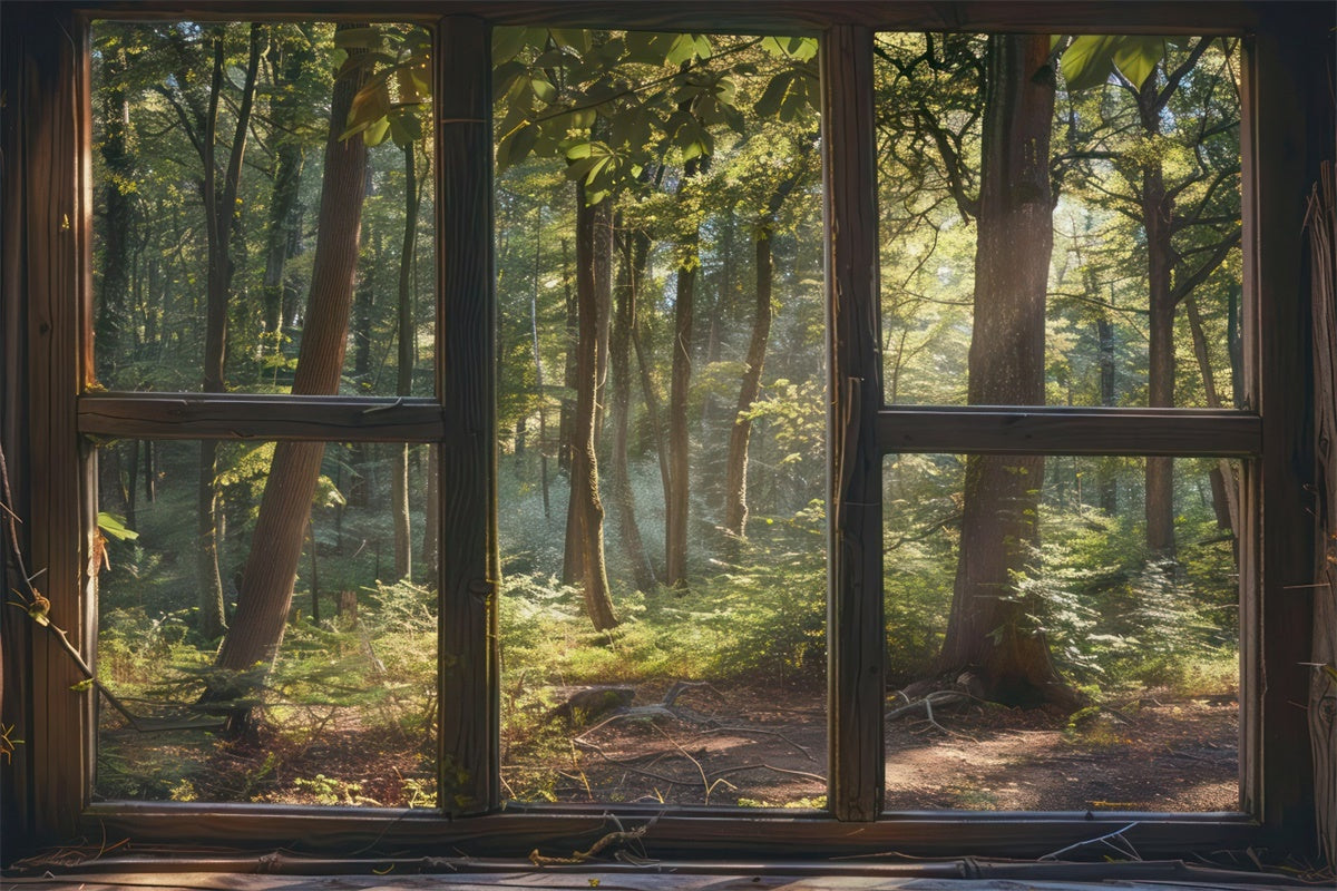 Woodland Backdrops Tranquil Woodland Window Scene Backdrop CJJ2-30