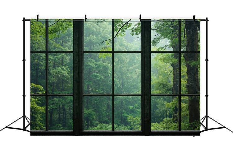 Forest Backdrop Photography Serene Forest View Window Backdrop CJJ2-57
