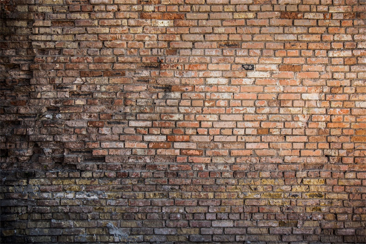 Backdrop Brick Wall Aged Weathered Red Brick Backdrop CJJ3-12