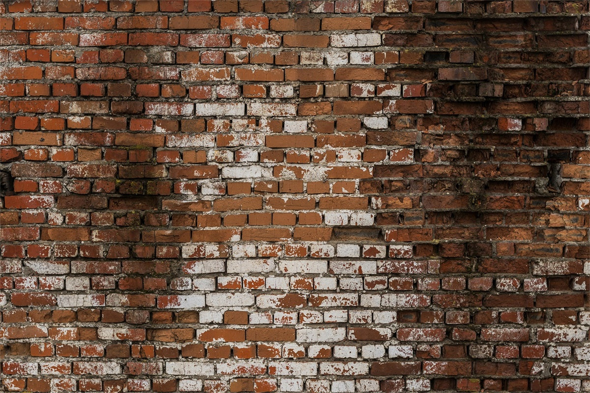 Brick Photo Backdrop Distressed Whitewashed Brick Backdrop CJJ3-15