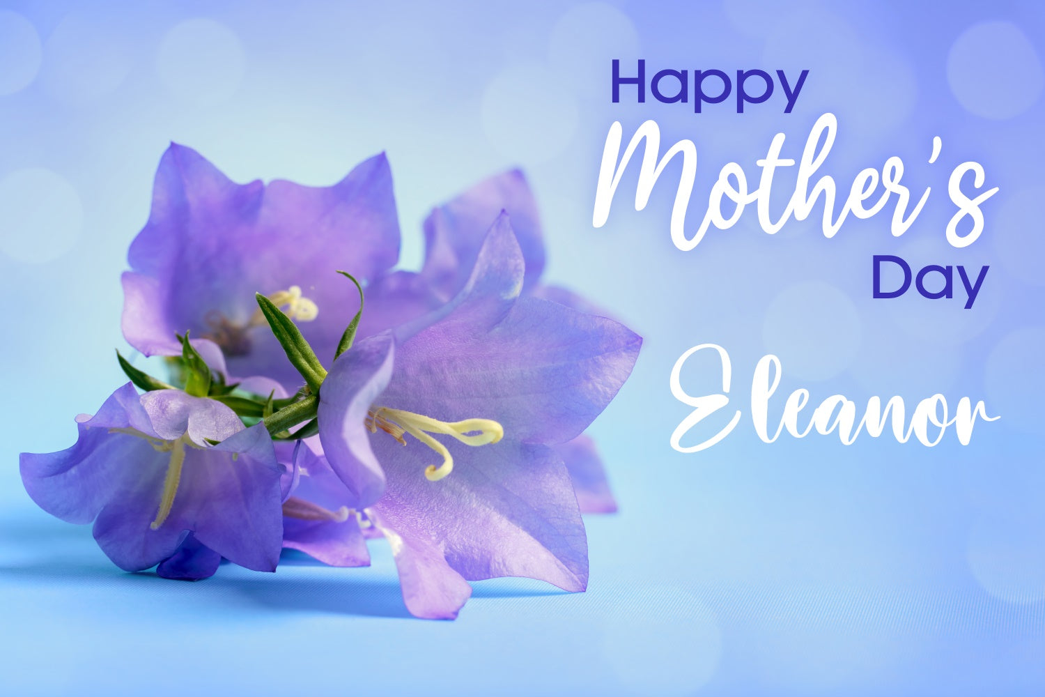 Mothers Day Photo Backdrops Soft Floral Bokeh Personalized Backdrop CJJ3-156