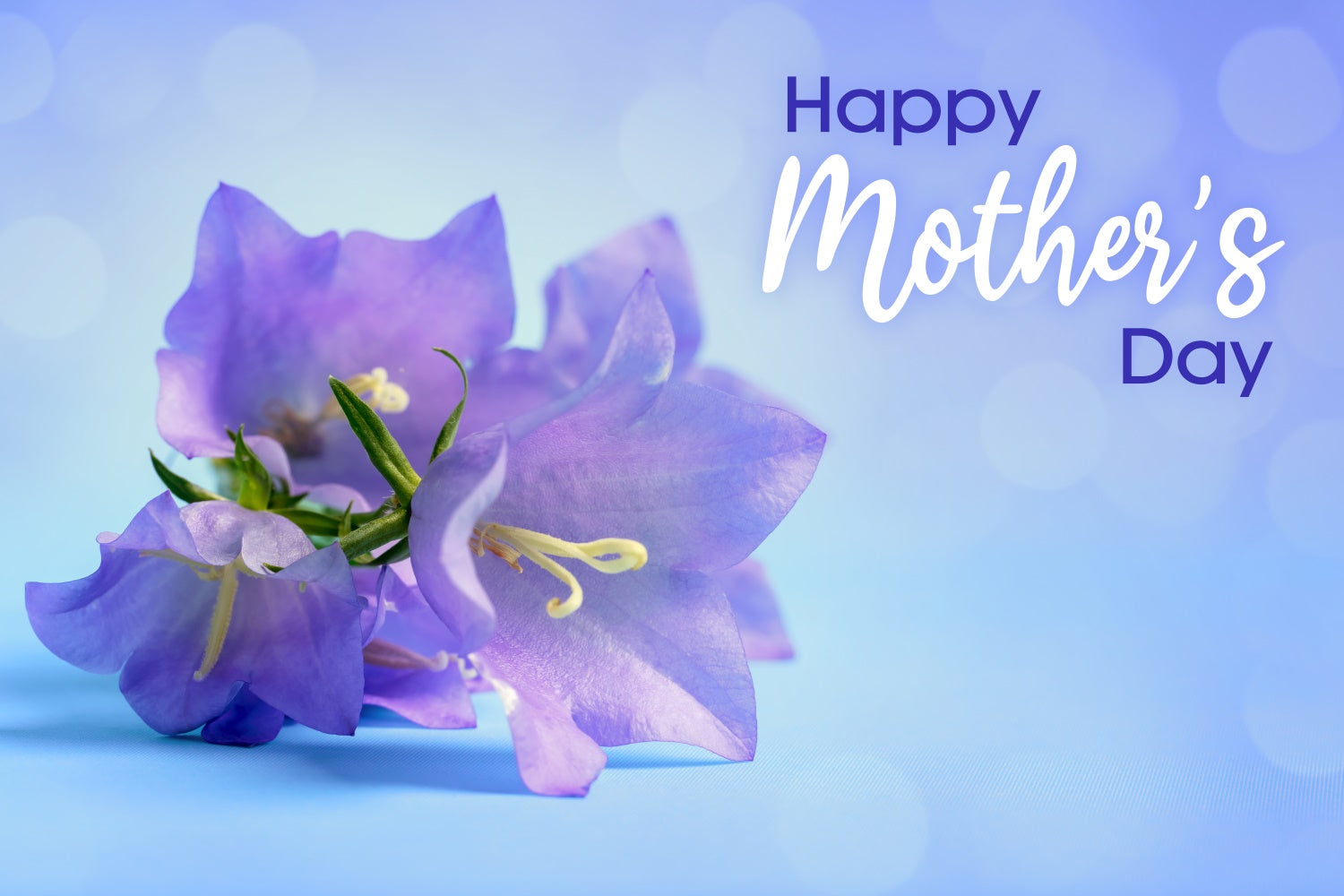 Mothers Day Photo Backdrops Soft Floral Bokeh Personalized Backdrop CJJ3-156