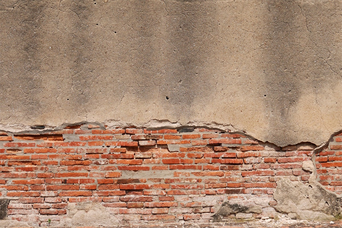 Brick Wall Backdrop Timeworn Brick Peeling Plaster Backdrop CJJ3-17