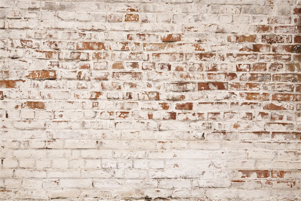 Brick Backdrop Photography Rustic Aged White Brick Backdrop CJJ3-18