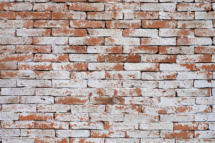 Brick Wall Backdrop Weathered Red Brick Whitewash Backdrop CJJ3-22