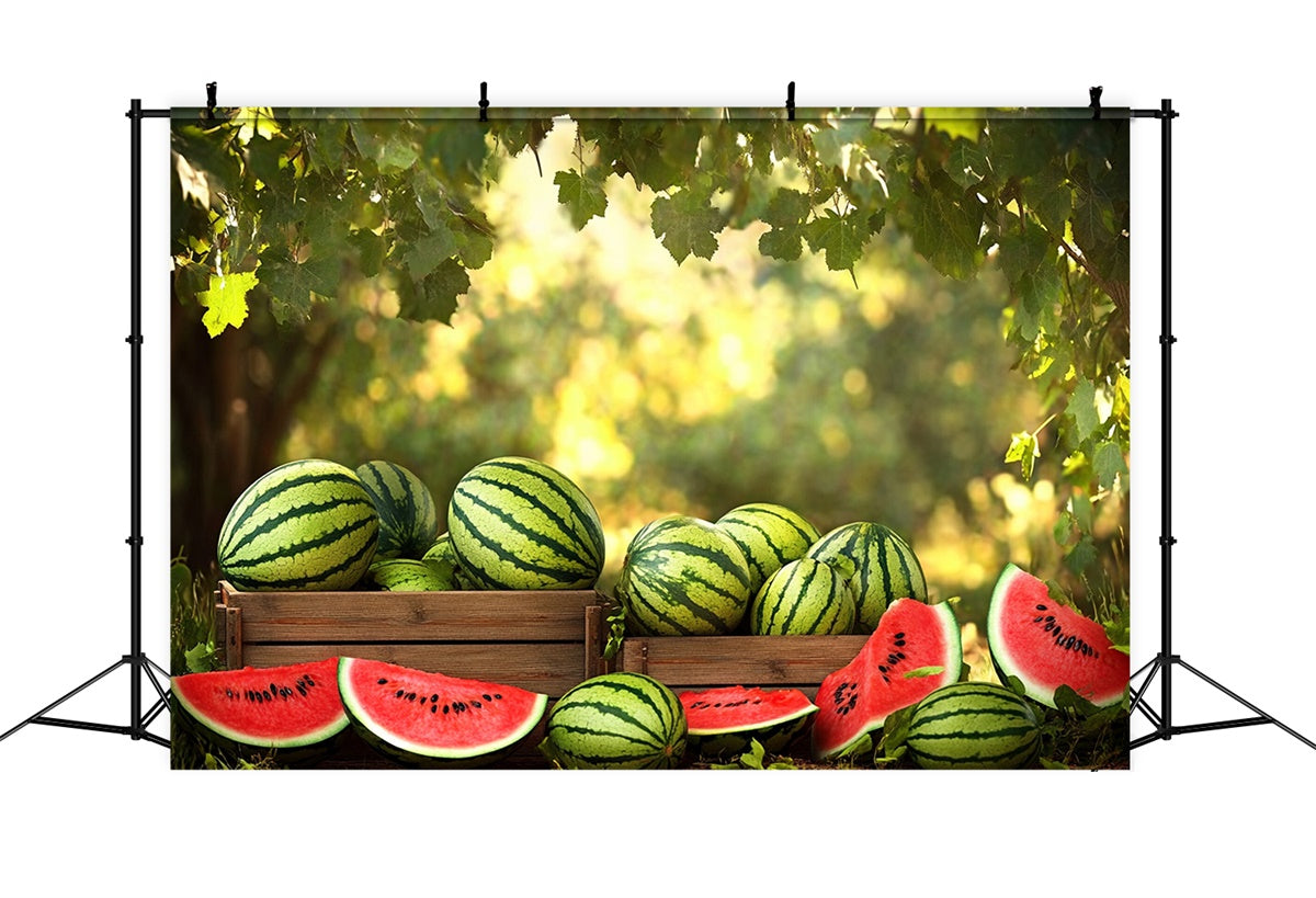 Watermelon Photo Backdrop Sunshine Forest Watermelon Summer Backdrop CJJ3-257