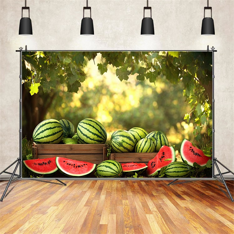 Watermelon Photo Backdrop Sunshine Forest Watermelon Summer Backdrop CJJ3-257