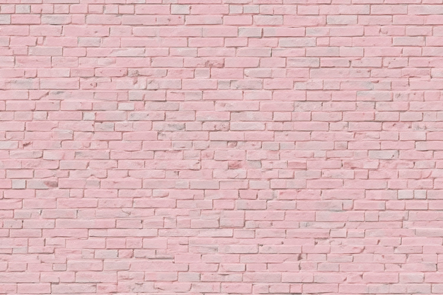 Pink Brick Wall Backdrop Pink Minimalist Brick Backdrop CJJ3-26