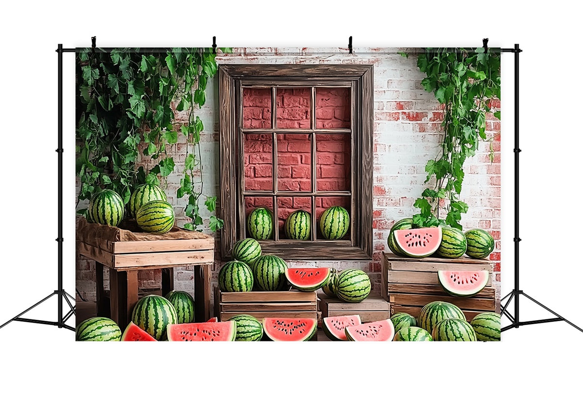 Watermelon Photography Backdrop Brick Watermelon Window Summer Backdrop CJJ3-263