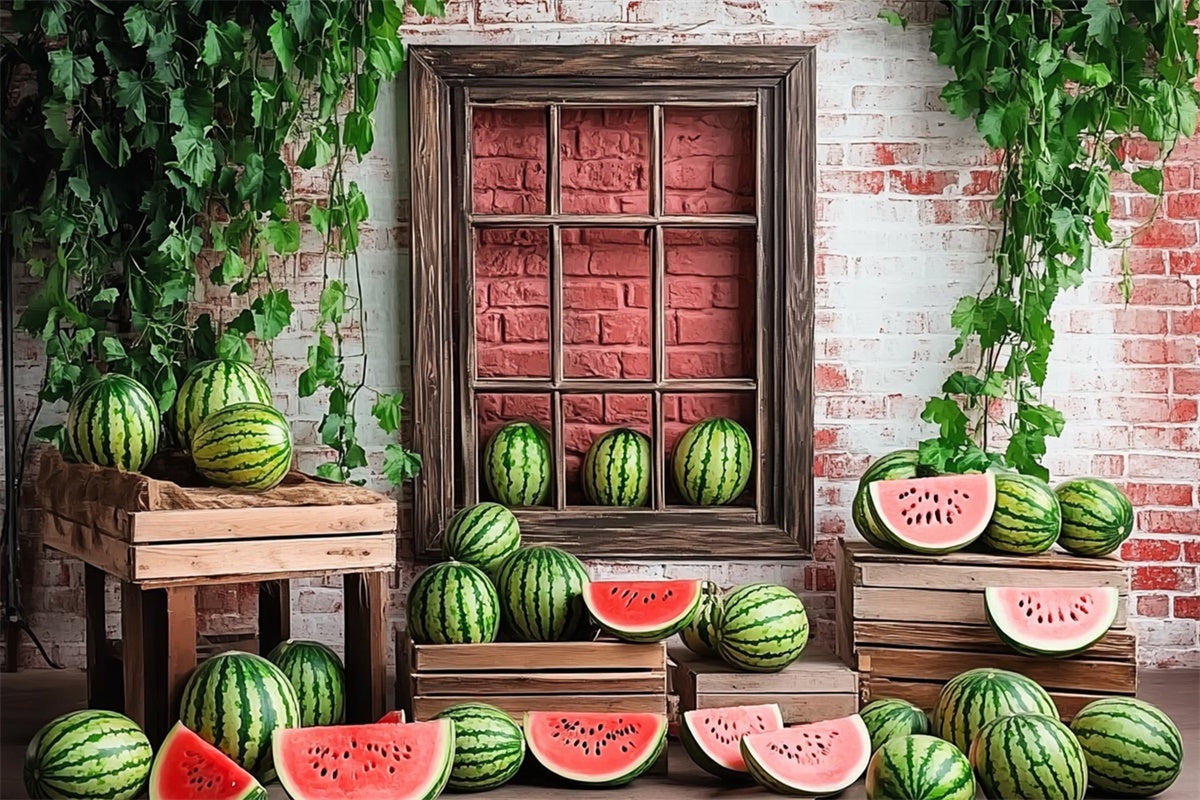 Watermelon Photography Backdrop Brick Watermelon Window Summer Backdrop CJJ3-263