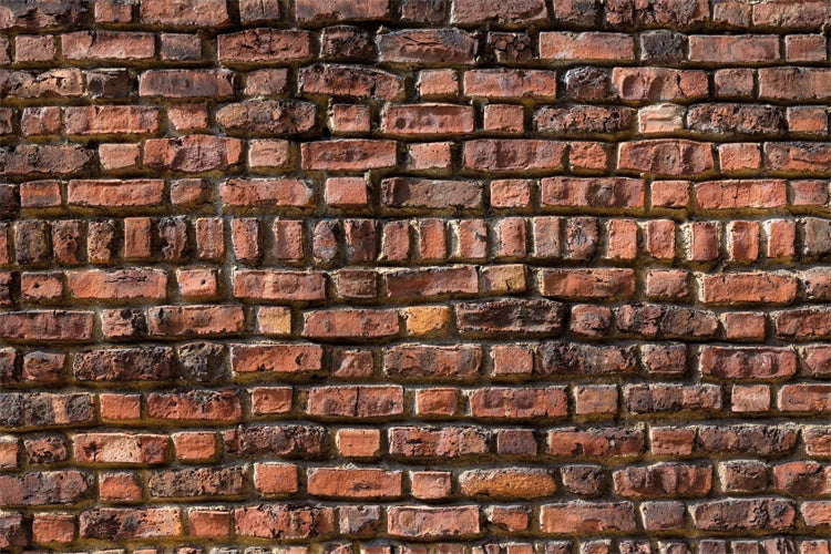 Brick Wall Backdrop Photography Heritage Red Brick Backdrop CJJ3-3
