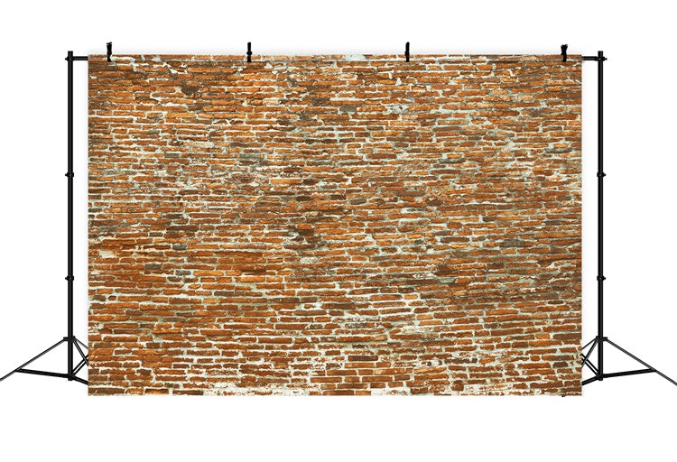 Brick Wall Photo Backdrop Old Curved Brick Surface Backdrop CJJ3-30