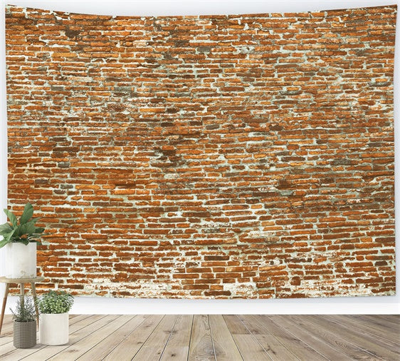 Brick Wall Photo Backdrop Old Curved Brick Surface Backdrop CJJ3-30
