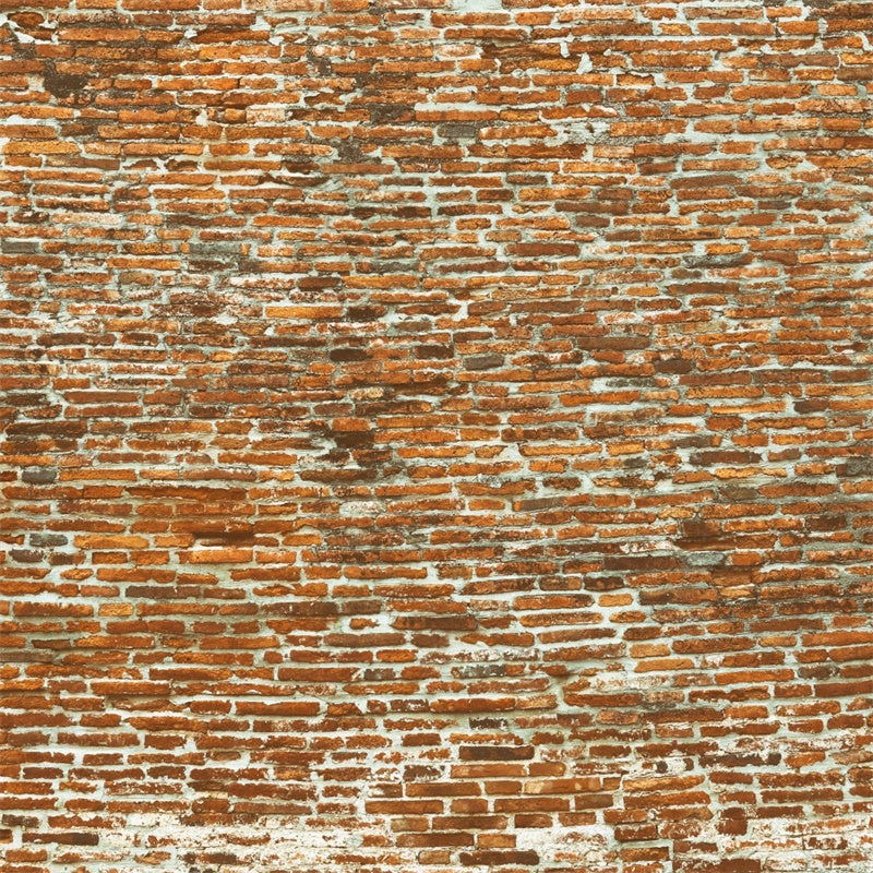 Brick Wall Photo Backdrop Old Curved Brick Surface Backdrop CJJ3-30